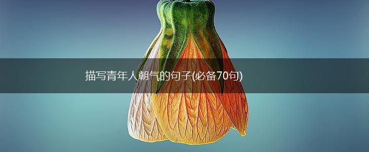 描写青年人朝气的句子(必备70句),第1张
