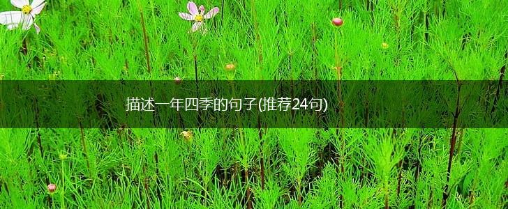 描述一年四季的句子(推荐24句),第1张