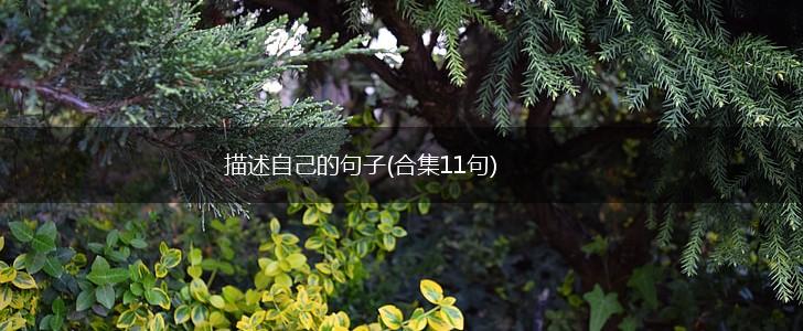 描述自己的句子(合集11句),第1张