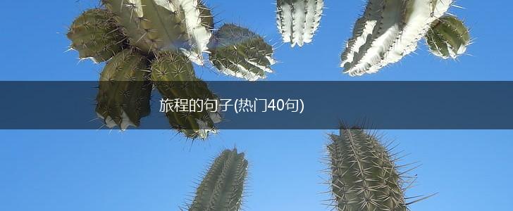 旅程的句子(热门40句),第1张