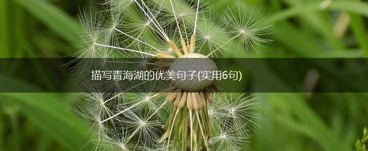 描写青海湖的优美句子(实用6句),第1张