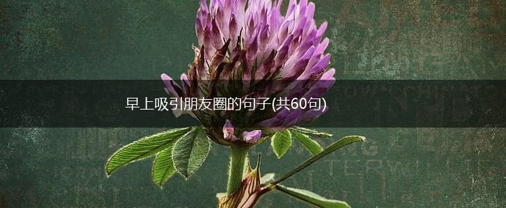 早上吸引朋友圈的句子(共60句),第1张