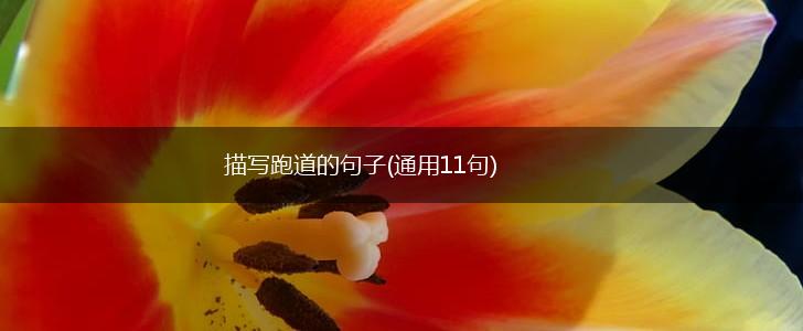 描写跑道的句子(通用11句),第1张