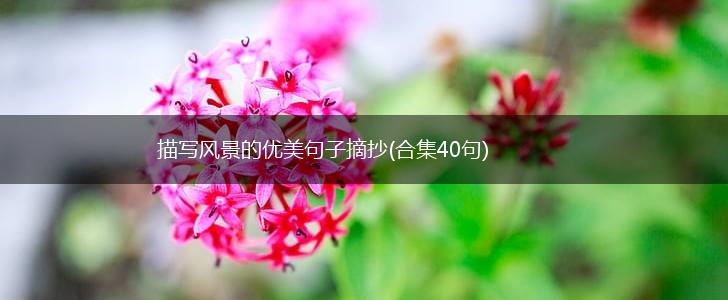 描写风景的优美句子摘抄(合集40句),第1张