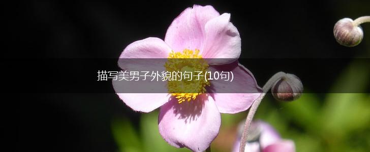 描写美男子外貌的句子(10句),第1张