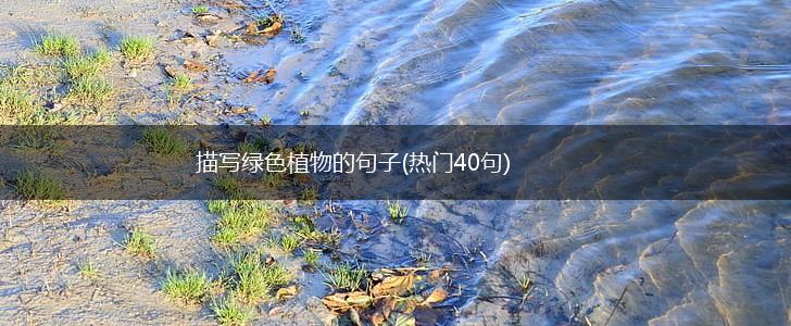 描写绿色植物的句子(热门40句),第1张