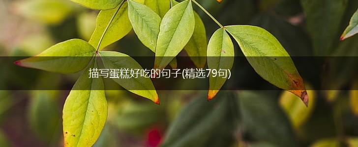 描写蛋糕好吃的句子(精选79句),第1张