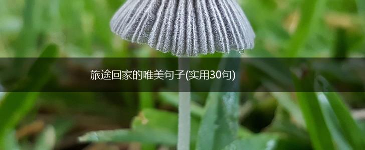 旅途回家的唯美句子(实用30句),第1张
