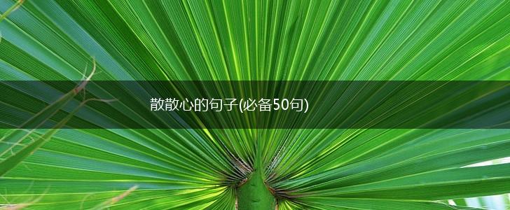 散散心的句子(必备50句),第1张