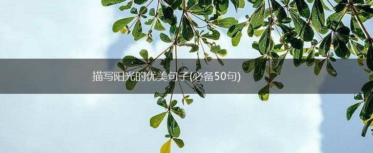 描写阳光的优美句子(必备50句),第1张