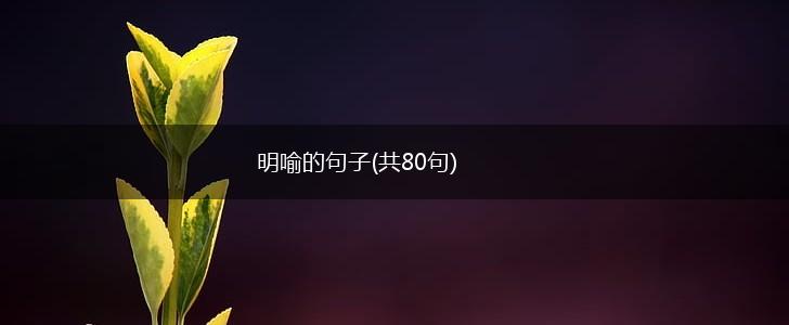 明喻的句子(共80句),第1张