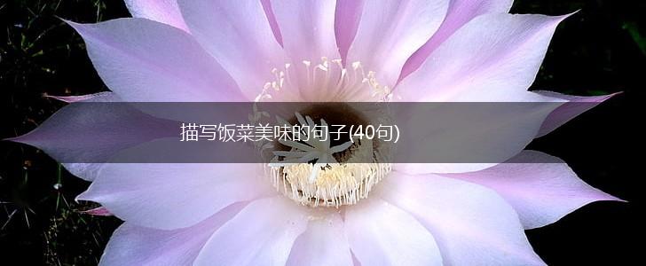 描写饭菜美味的句子(40句),第1张