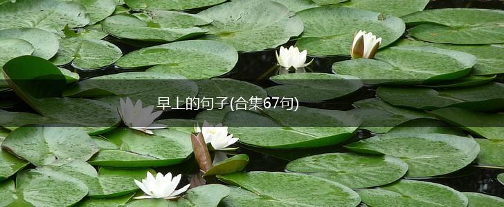 早上的句子(合集67句),第1张