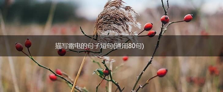 描写雷电的句子短句(通用80句),第1张