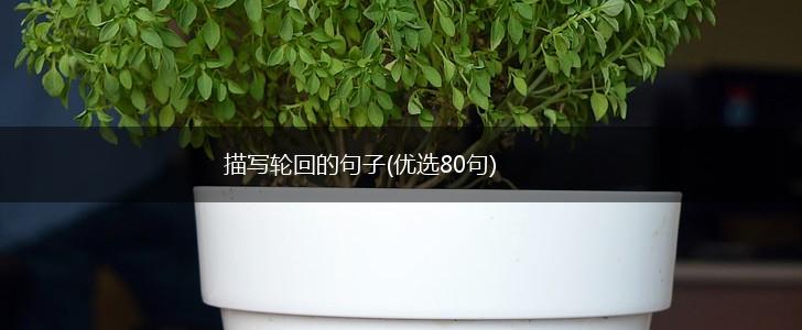 描写轮回的句子(优选80句),第1张