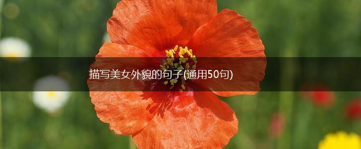 描写美女外貌的句子(通用50句),第1张