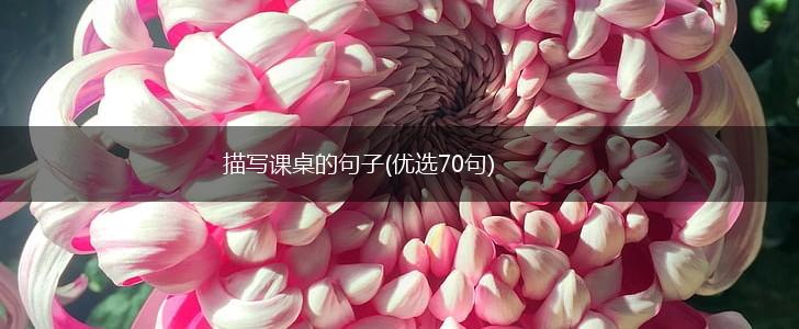 描写课桌的句子(优选70句),第1张