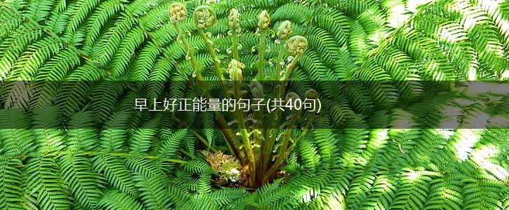早上好正能量的句子(共40句),第1张