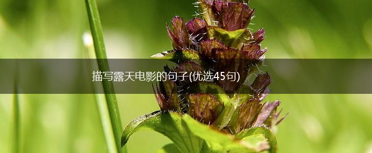 描写露天电影的句子(优选45句),第1张