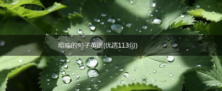暗喻的句子英语(优选113句),第1张