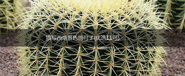 描写西湖景色的句子(优选11句),第1张