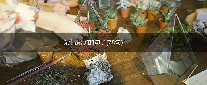 爱情累了的句子(78句),第1张
