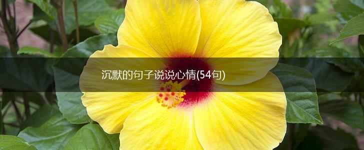 沉默的句子说说心情(54句),第1张