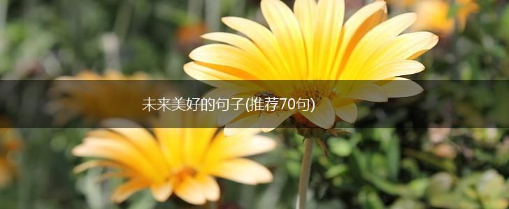 未来美好的句子(推荐70句),第1张