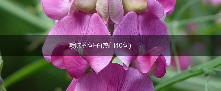 暧昧的句子(热门40句),第1张