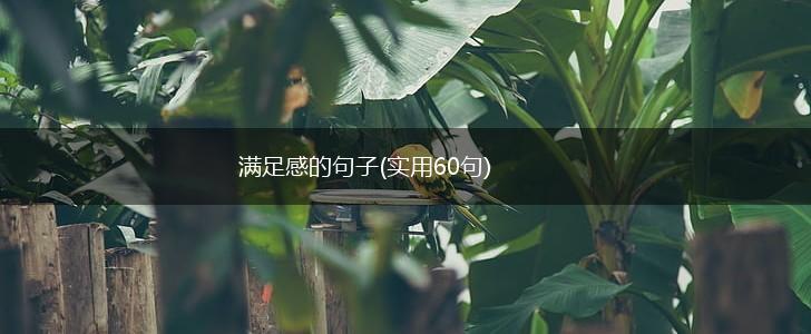 满足感的句子(实用60句),第1张