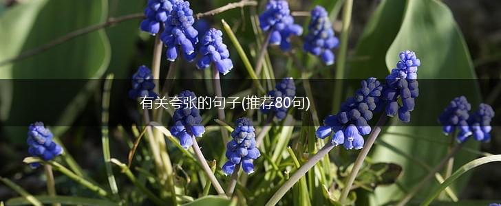 有关夸张的句子(推荐80句),第1张