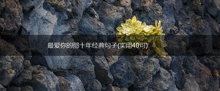 最爱你的那十年经典句子(实用40句),第1张