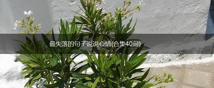 最失落的句子说说心情(合集40句),第1张