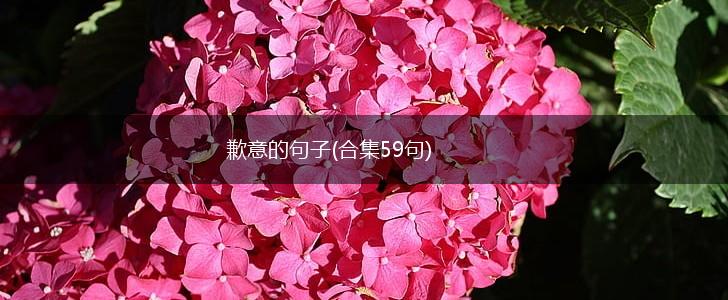 歉意的句子(合集59句),第1张