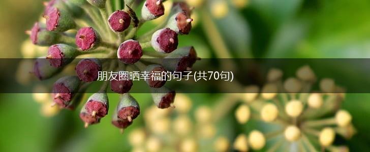 朋友圈晒幸福的句子(共70句),第1张