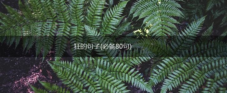 狂的句子(必备80句),第1张