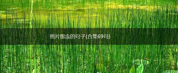 照片留念的句子(合集69句),第1张