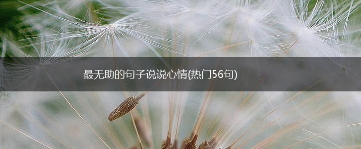 最无助的句子说说心情(热门56句),第1张