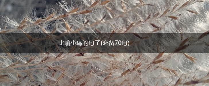比喻小鸟的句子(必备70句),第1张