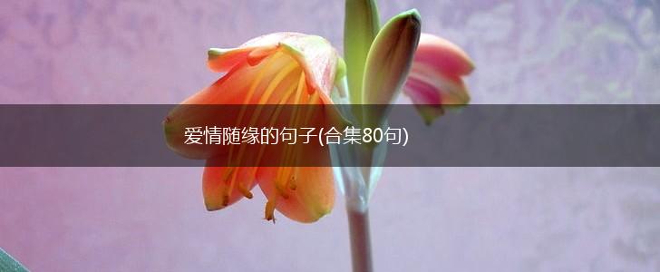 爱情随缘的句子(合集80句),第1张