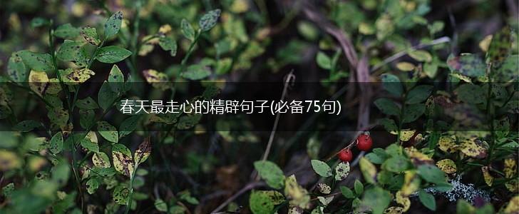 春天最走心的精辟句子(必备75句),第1张