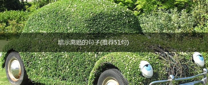 暗示离婚的句子(推荐51句),第1张