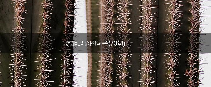 沉默是金的句子(70句),第1张
