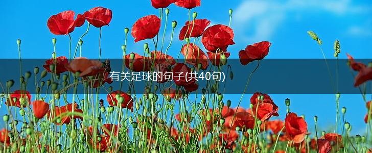 有关足球的句子(共40句),第1张