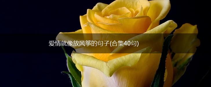 爱情就像放风筝的句子(合集40句),第1张