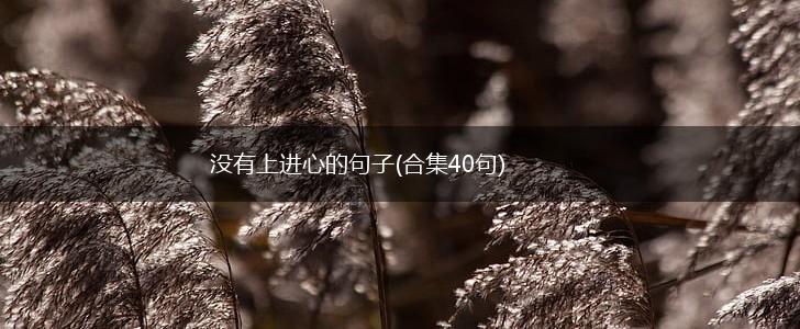 没有上进心的句子(合集40句),第1张