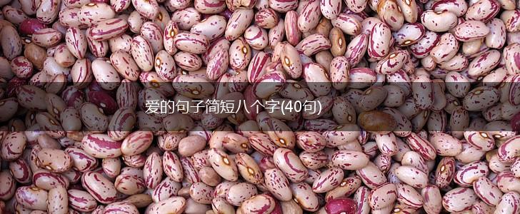 爱的句子简短八个字(40句),第1张