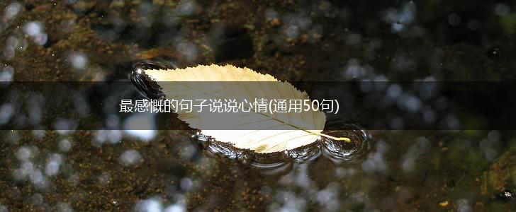 最感慨的句子说说心情(通用50句),第1张