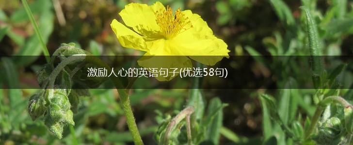 激励人心的英语句子(优选58句),第1张