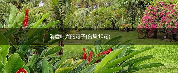 消磨时光的句子(合集40句),第1张